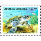 Green Turtle (Chelonia mydas) - East Africa / Comoros 2014 - 150