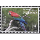 Green-Winged Macaw (Ara chloropterus) - Polynesia / Tonga 2020