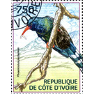 Green Woodhoopoe (Phoeniculus purpureus) - West Africa / Ivory Coast 2014 - 750