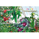 Greenhouse Vegetables - North Korea 2020