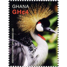 Grey Crowned Crane (Balearica regulorum) - West Africa / Ghana 2016 - 4