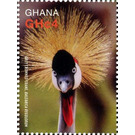 Grey Crowned Crane (Balearica regulorum) - West Africa / Ghana 2016 - 4