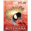 Grey-Crowned Crane - South Africa / Botswana 2019 - 5