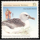 Grey-headed Albatross (Thalassarche chrysostoma), Photograph - Australian Antarctic Territory 1988 - 37
