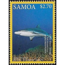 Grey Reef Shark (Carcharhinus amblyrhinchos) - Polynesia / Samoa 2016 - 2.70