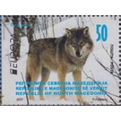 Grey Wolf (Canis lupus) - Macedonia / North Macedonia 2021 - 50