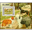 Greyhound Dog - East Africa / Djibouti 2021