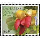 Guaiacum sanctum - Caribbean / Bahamas 2020 - 50
