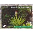 Guzmania monestachya - Caribbean / Dominican Republic 2019 - 15