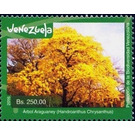 Handroanthus chrysanthus - South America / Venezuela 2016 - 250