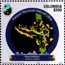 Harlequin Frog (Atelopus sp.) - South America / Colombia 2021