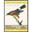 Harris's Hawk (Parabuteo unicinctus) - Polynesia / Tuvalu, Niutao 1985