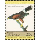 Harris's Hawk (Parabuteo unicinctus) - Polynesia / Tuvalu, Niutao 1985