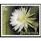 Harrisia brookii - Caribbean / Bahamas 2019 - 5