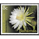 Harrisia brookii - Caribbean / Bahamas 2019 - 5