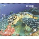 Hawksbill Sea Turtle (Eretmochelys imbricata) - Cook Islands, Rarotonga 2020 - 1