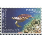Hawksbill Sea Turtle (Eretmochelys imbricata) - Cook Islands, Rarotonga 2020 - 5