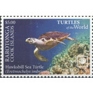 Hawksbill Sea Turtle (Eretmochelys imbricata) - Cook Islands, Rarotonga 2020 - 5