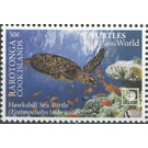 Hawksbill Sea Turtle (Eretmochelys imbricata) - Cook Islands, Rarotonga 2020 - 50