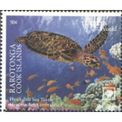 Hawksbill Sea Turtle (Eretmochelys imbricata) - Cook Islands, Rarotonga 2020 - 50