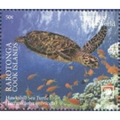 Hawksbill Sea Turtle (Eretmochelys imbricata) - Cook Islands, Rarotonga 2020 - 50