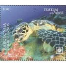 Hawksbill Sea Turtle (Eretmochelys imbricata) - Polynesia / Cook Islands 2020 - 1