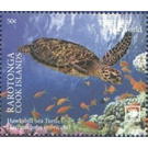 Hawksbill Sea Turtle (Eretmochelys imbricata) - Polynesia / Cook Islands 2020 - 50