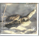Hawksbill Sea Turtle (Eretmochelys imbricata) - Polynesia / Cook Islands 2020 - 7