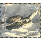 Hawksbill Sea Turtle (Eretmochelys imbricata) - Polynesia / Cook Islands 2020 - 7