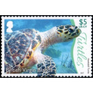 Hawksbill Turtle - Caribbean / British Virgin Islands 2017 - 5