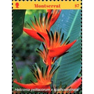 Heliconia psittacorum x spathocircinata - Caribbean / Montserrat 2017 - 7