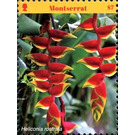 Heliconia rostrata - Caribbean / Montserrat 2017 - 7