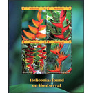 Heliconias - Caribbean / Montserrat 2017