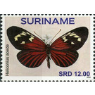 Heliconius aoede - South America / Suriname 2020 - 12