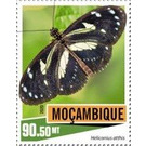 Heliconius atthis - East Africa / Mozambique 2020 - 90.50