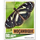 Heliconius atthis - East Africa / Mozambique 2020 - 90.50