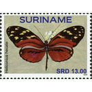 Heliconius hecale - South America / Suriname 2020 - 13