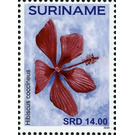 Hibiscus coccineus - South America / Suriname 2020 - 14