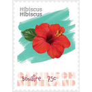 Hibiscus (Hibiscus sp) - Caribbean / Bonaire 2020 - 75