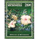 Hibiscus - Micronesia / Micronesia, Federated States 2015 - 26