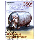 Hippopotamus (Hippopotamus amphibius) - West Africa / Ivory Coast 2014 - 350