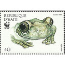 Hispaniola Treefrog (Hyla vasta) - Caribbean / Haiti 1999 - 4