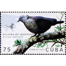 Hodgson's Pigeon - Caribbean / Cuba 2020