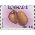 Hog Plum (Spondias lutea) - South America / Suriname 2020 - 14