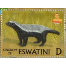 Honey Badger - South Africa / Swaziland 2018