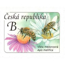 Honey Bee (Apis mellifica) - Czech Republic (Czechia) 2020