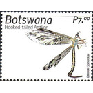 Hooked-Tailed Antlion - South Africa / Botswana 2019 - 7