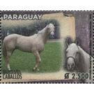 Horse Breeds of Paraguay (Equus ferus caballos) - South America / Paraguay 2019