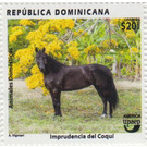 Horse - Caribbean / Dominican Republic 2020