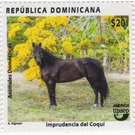 Horse - Caribbean / Dominican Republic 2020